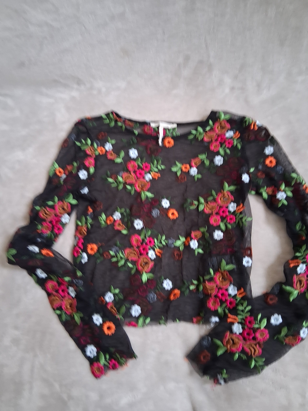 Urban Outfitters Black Sheer Floral-Embroidered Long Sleeve Top